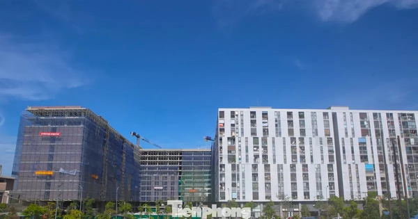 Hàng nghìn hồ sơ đăng ký mua nhà ở xã hội tại Hà Tĩnh, vượt xa số lượng căn hộ dự kiến bàn giao